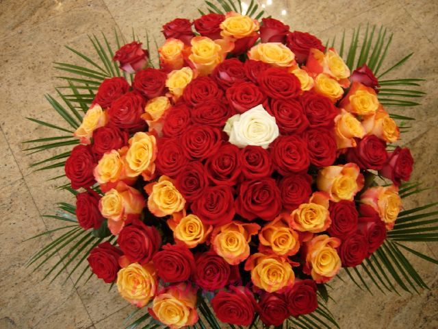 Clic pentru a vedea imaginea mărită Buchet trandafiri 71 de fire
