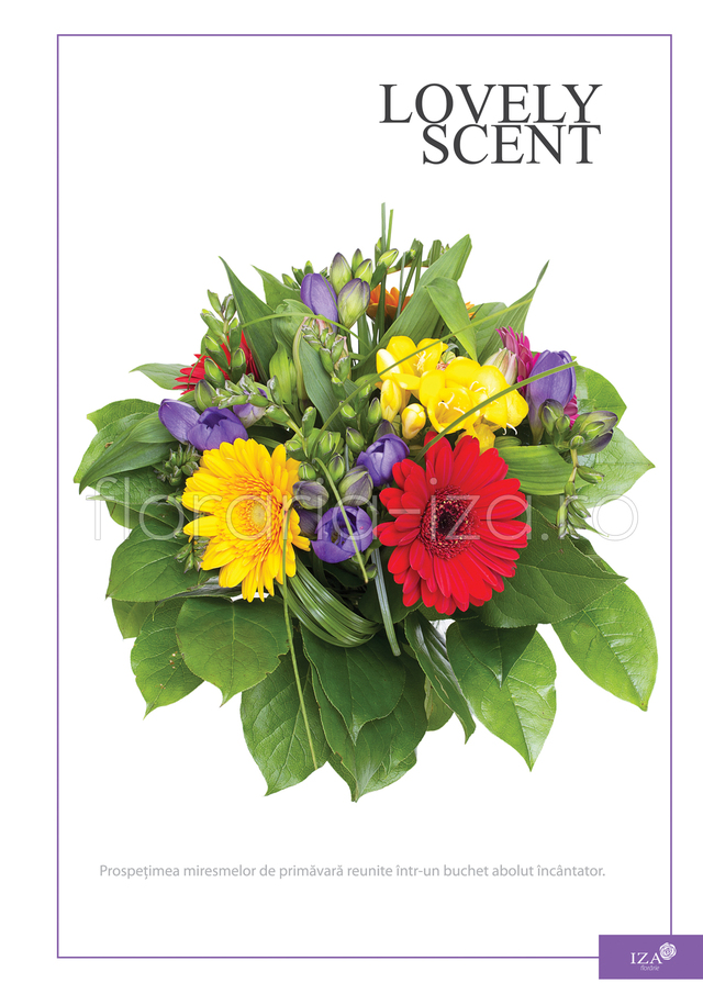 Clic pentru a vedea imaginea mărită Buchet asortat - Lovely scent