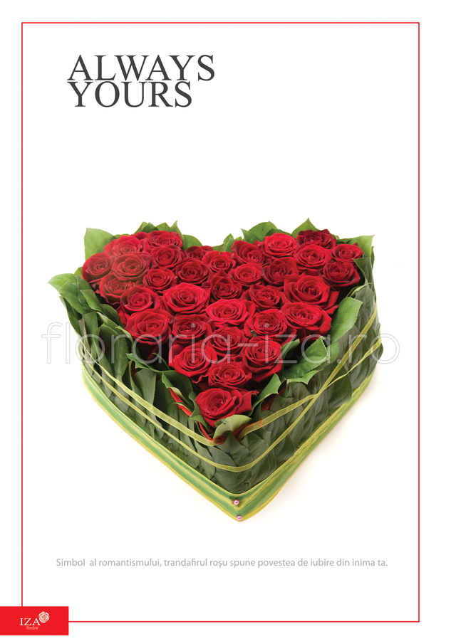 Clic pentru a vedea imaginea mărită Buchet trandafiri - Always yours