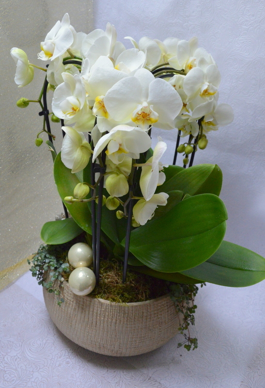 Clic pentru a vedea imaginea mărită Aranjament orhideea