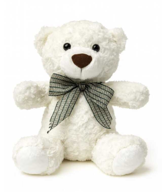 Clic pentru a vedea imaginea mărită urs alb